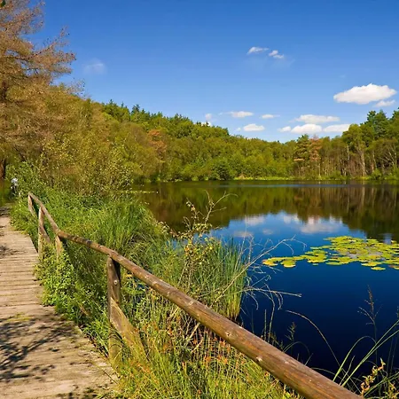 Backbord In Der Warener Altstadt